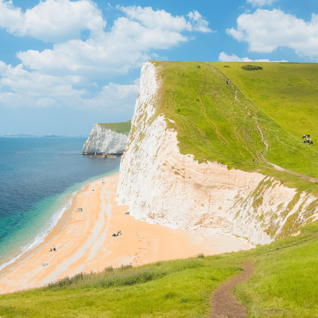 Security Company Dorset