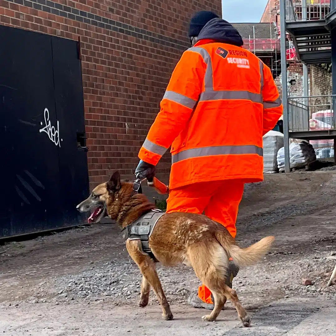 Our security company Beeston guard on a K9 patrol of a active site