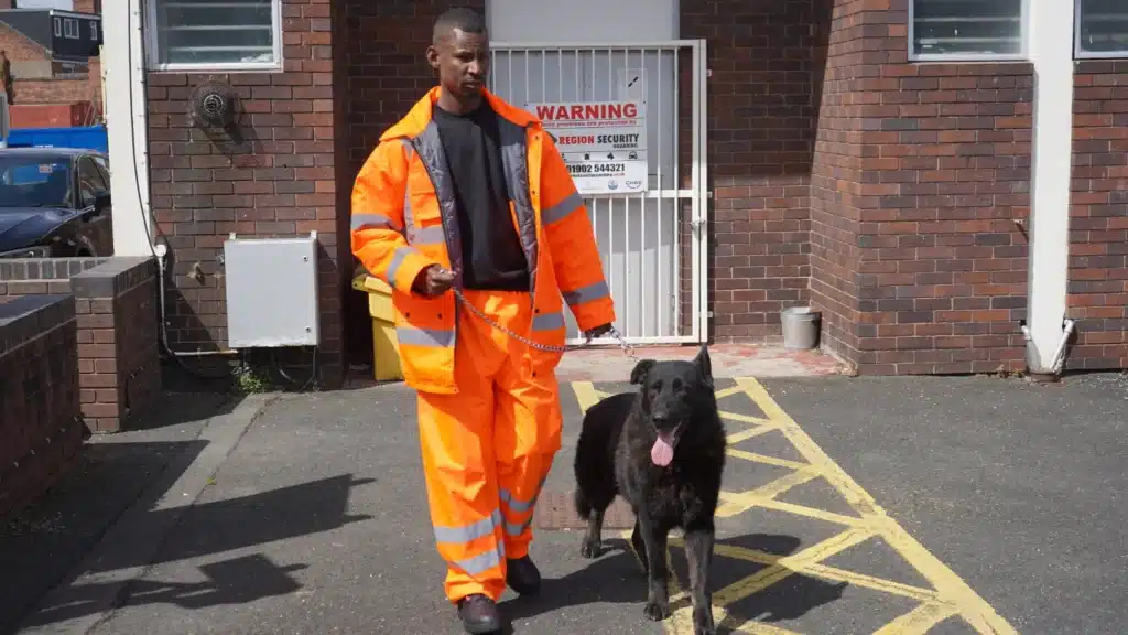  security guard from our Shrewsbury-based security company is shown walking one of Region's trained guard dogs