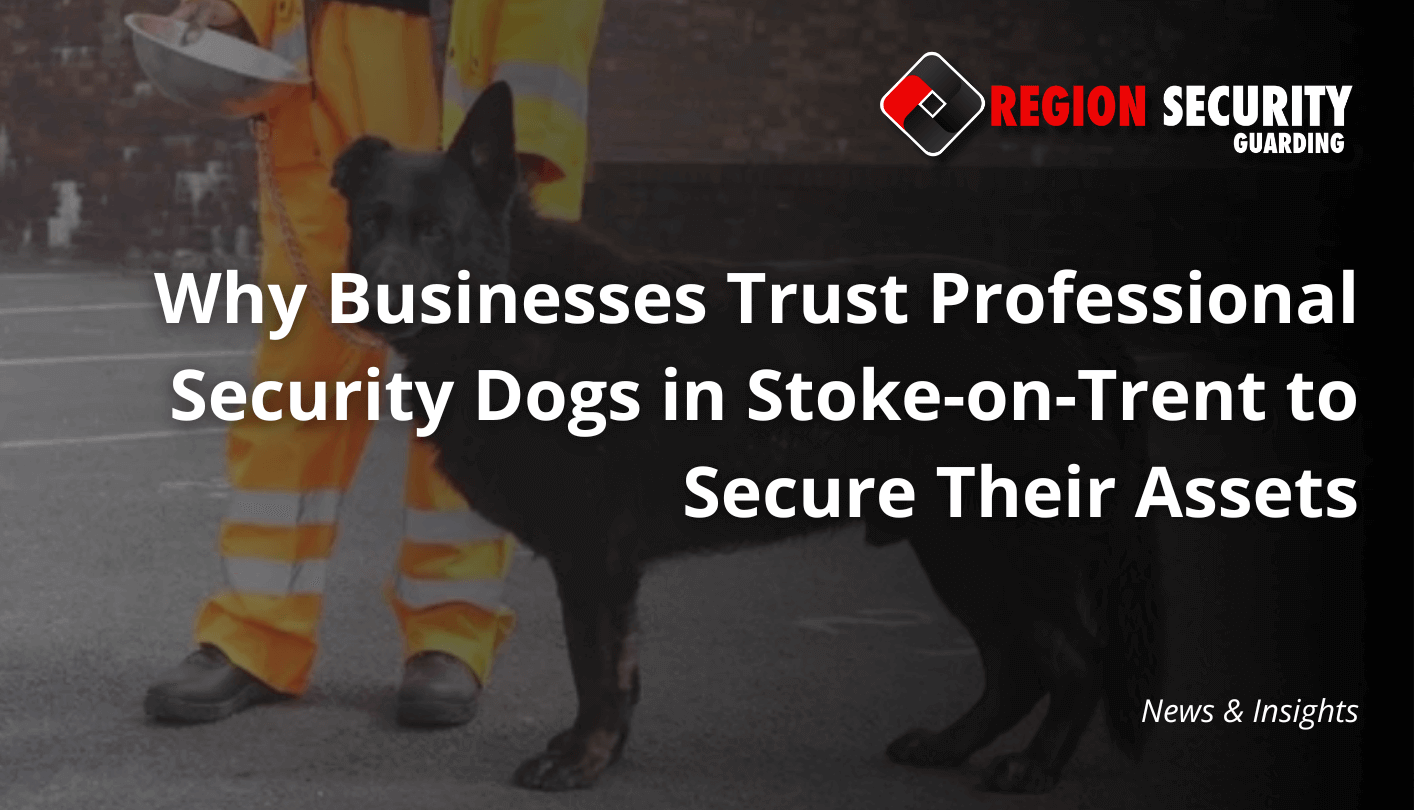 An attentive black security dog with a handler, illustrating reliable security dogs in Stoke-on-Trent for asset protection
