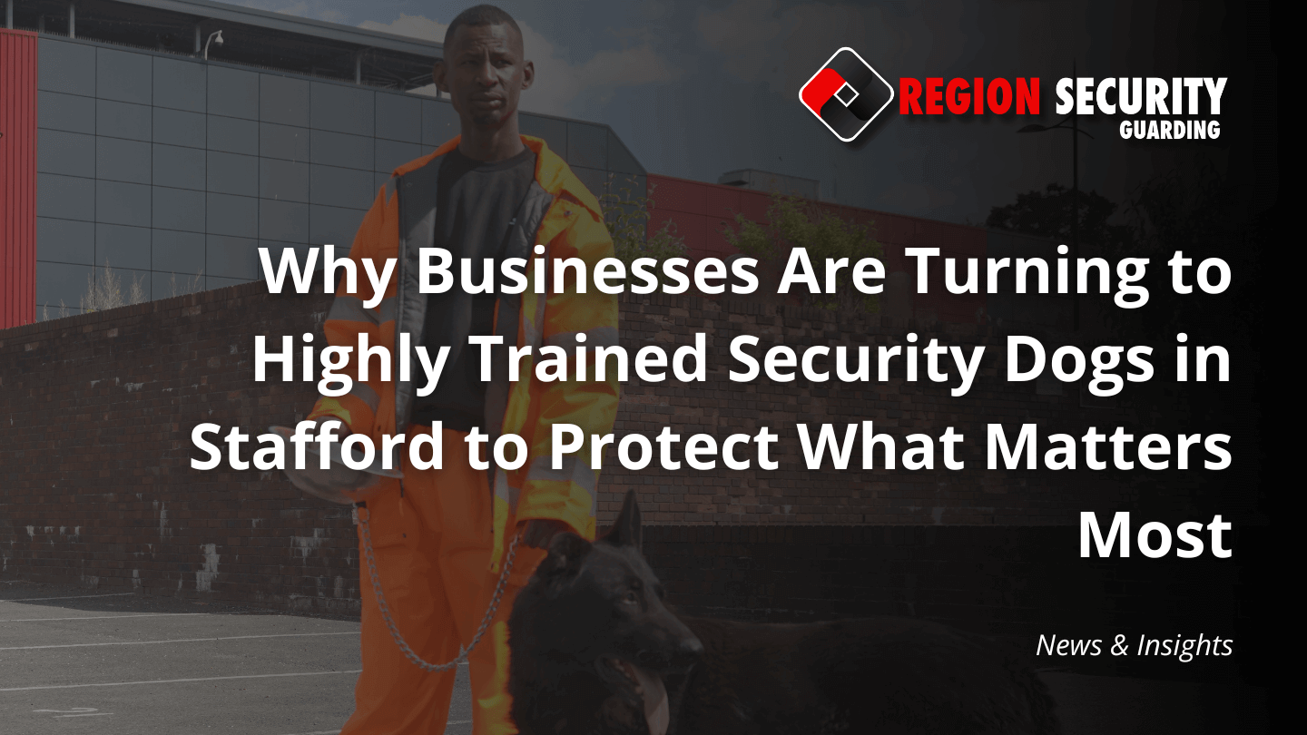 One of our highly trained security dogs in Stafford with a handler on a commercial property