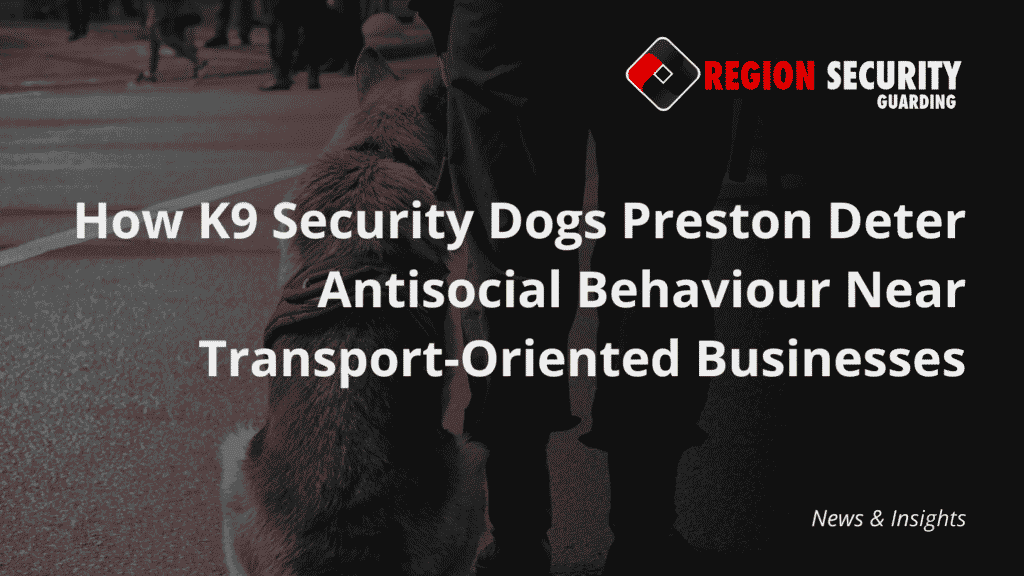 One of the K9 security dogs Preston with a trained handler protecting a commercial area.