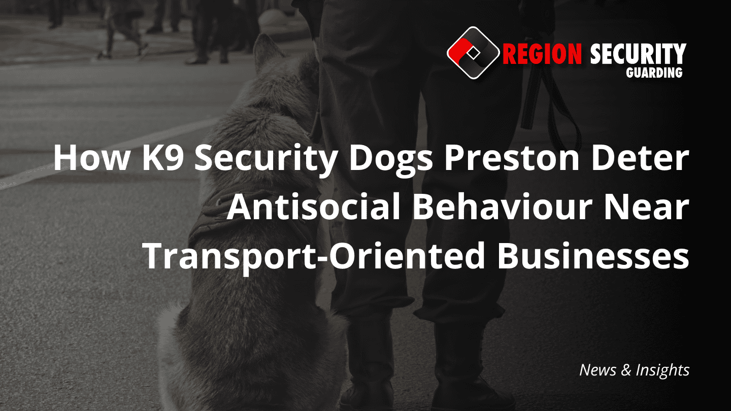 One of the K9 security dogs Preston with a trained handler protecting a commercial area.