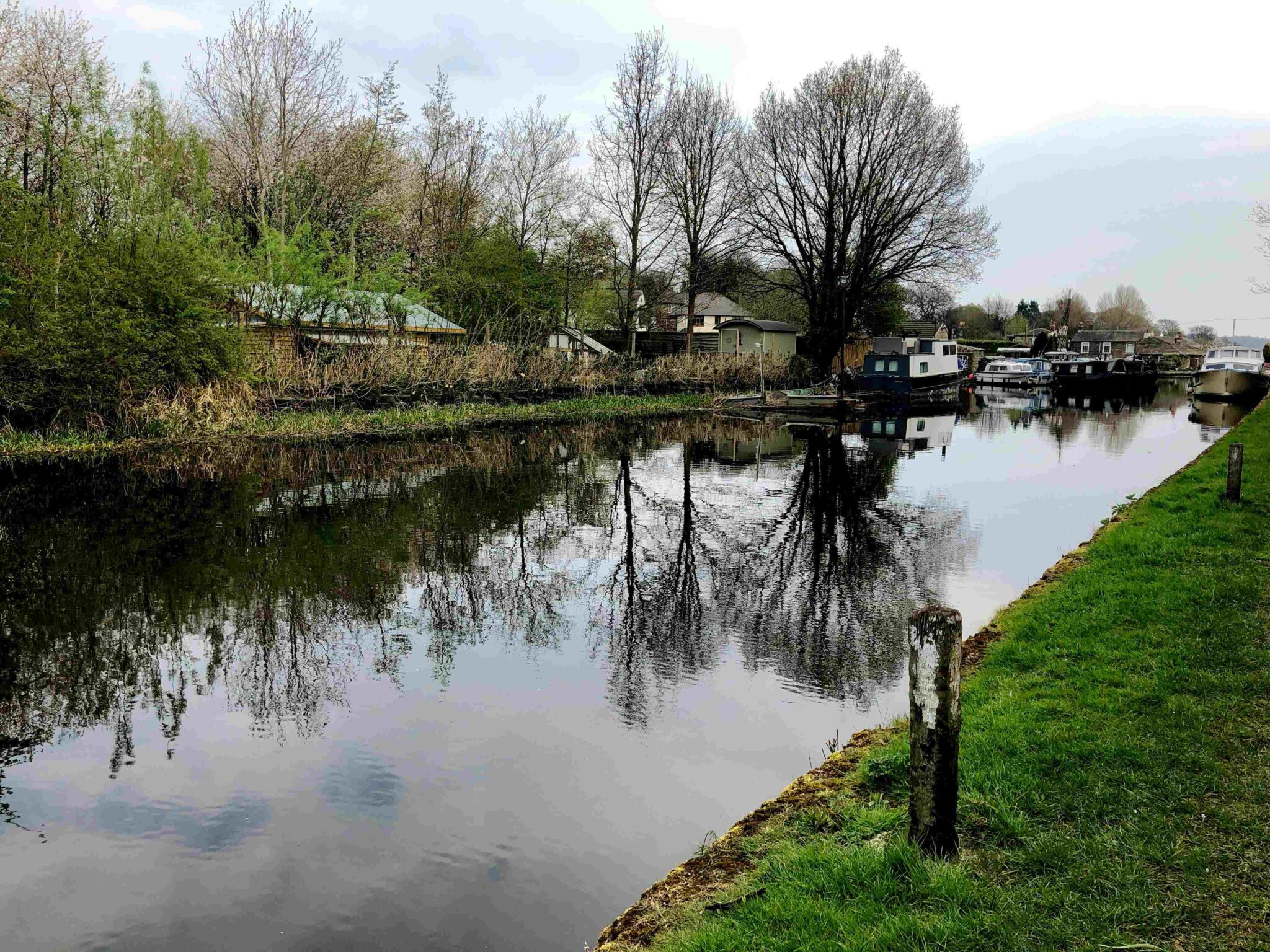 Peaceful canal scene in Bilston with trees, narrowboats, and waterside greenery.