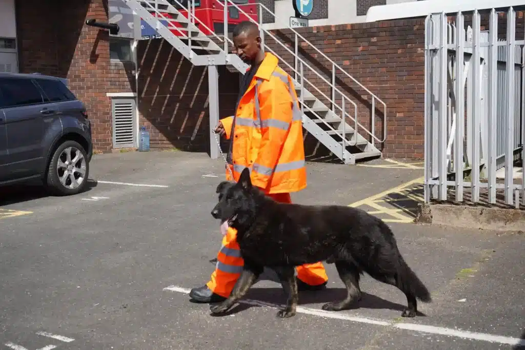 security dog handlers and trained K9 security dogs protecting premises in Manchester