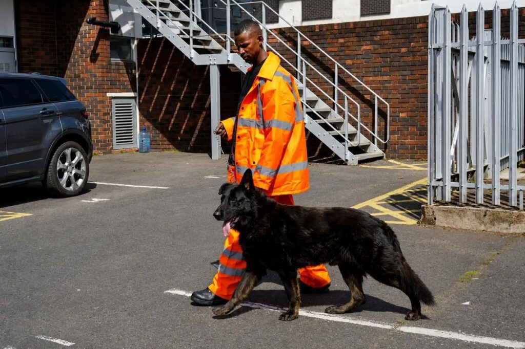 region security guarding dog security